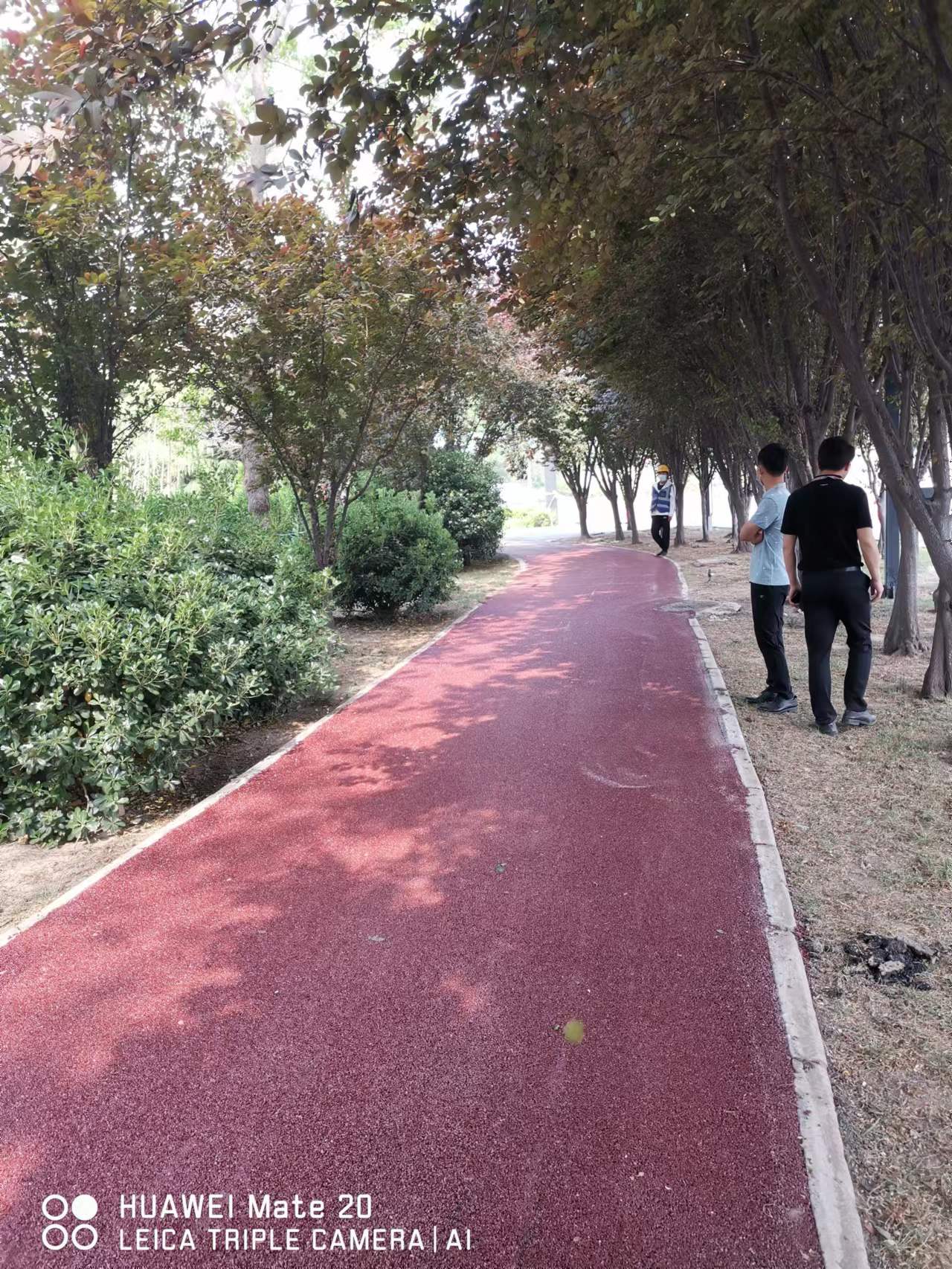 1667885761163931.jpg 61c003dfc81607fbd56088f6a54f2c8c_.jpg