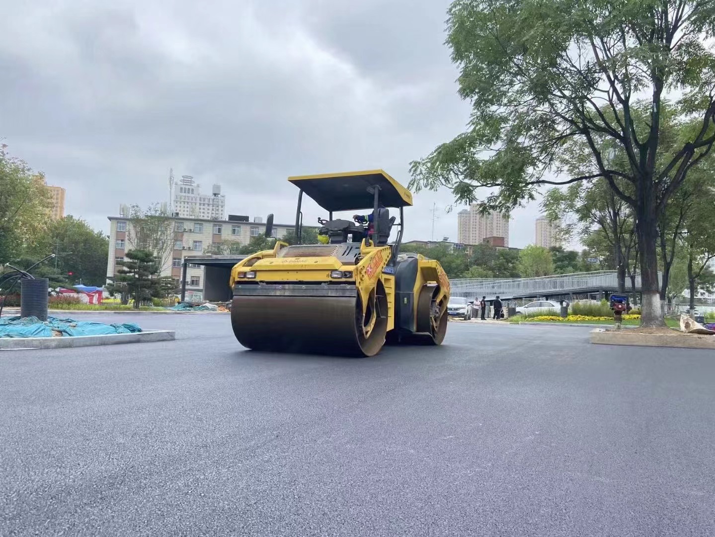 1669101254163719.jpg 31e55625108b1e57e45939f4bfc975b.jpg